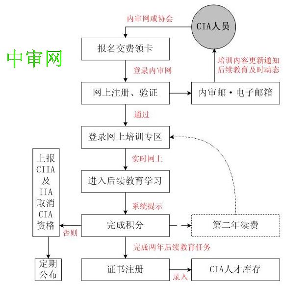 国际注册内部审计师收入(3)